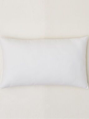 NWT! PAIR West Elm Feather Down Pillow Insert -King Size Organic Cotton